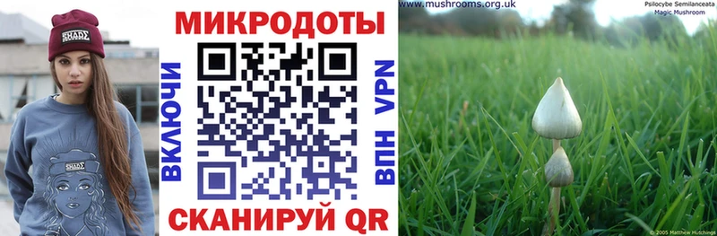 Псилоцибиновые грибы MAGIC MUSHROOMS  Тимашёвск 