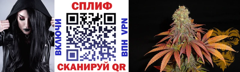 Бошки марихуана планчик  где купить   Тимашёвск 